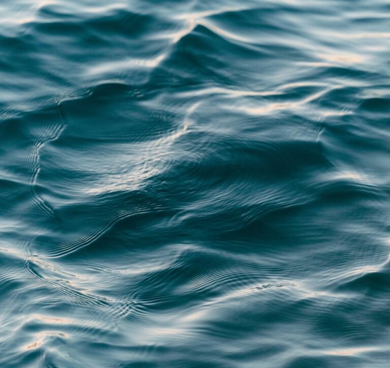 close up photo of body of water